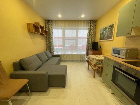 Студия, 2/17 эт., 24м²